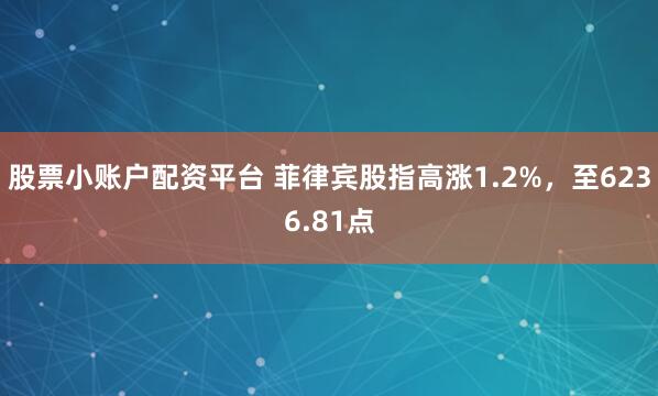 股票小账户配资平台 菲律宾股指高涨1.2%，至6236.81点